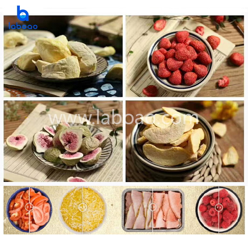 4-6kg مجفف تجميد الطعام الصغيرة